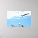 Pesquisar por voo impressão de canvas Aves