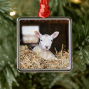Pesquisar por newborn ornamentos Cute