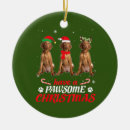 Pesquisar por vizsla ornamentos Xmas