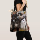 Pesquisar por imagem da cor bolsas Nenhumas pessoas