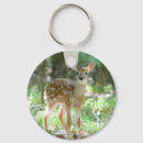 Pesquisar por cervos chaveiros Whitetail