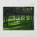 Pesquisar por prados cartoes Qualquer pessoa