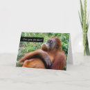 Pesquisar por expressão engraçada cartoes Animal