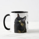 Pesquisar por tortie Preto