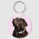 Pesquisar por cão preto de labrador retriever chaveiros Chocolate