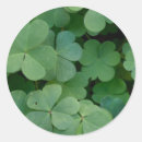 Pesquisar por trevo de três folhas adesivos Irlandês