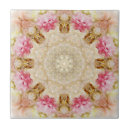Pesquisar por verde da cozinha azulejos Rosa