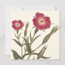 Pesquisar por conversas convites Floral