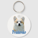 Pesquisar por corgi chaveiros Animais