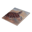 Pesquisar por tartarugas azulejos Réptil