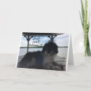 Pesquisar por shitzu cartoes Aniversário