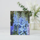 Pesquisar por delphinium cartoes postais Jardim
