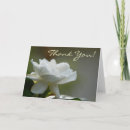 Pesquisar por gardenia cartoes Floral