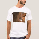 Pesquisar por upper camisetas Nativo americano