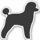Pesquisar por caniche capas Cão