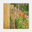 Pesquisar por wildflowers imas Qualquer pessoa
