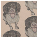 Pesquisar por cocker spaniel artesanato material Cães