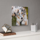 Pesquisar por australiano relogios de parede Cão