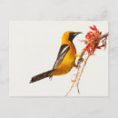 Pesquisar por natural cartoes postais Natureza
