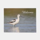 Pesquisar por wader Vida selvagem