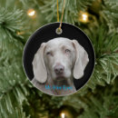 Pesquisar por cão weimaraner ornamentos Canino