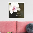 Pesquisar por orquídeas impressão de canvas Fotografia