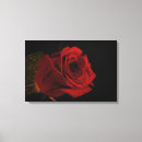 Pesquisar por rosa vermelha impressão de canvas Para ela