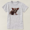 Pesquisar por gato sphynx roupas Gatinho