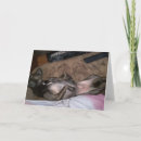 Pesquisar por imagens da natureza cartoes Para todos