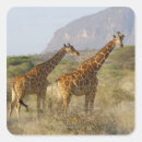 Pesquisar por quênia adesivos Exterior