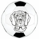 Pesquisar por animal estimação bola futebol Desenho
