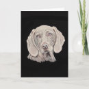 Pesquisar por do weimaraner cartoes Raça