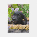 Pesquisar por o sorriso mantas Qualquer crinaça