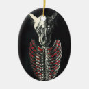 Pesquisar por anatomia ornamentos Ossos