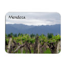 Pesquisar por mendoza imas Argentina
