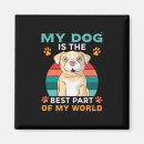Pesquisar por funny dog imas Para todos