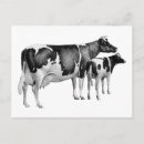 Pesquisar por vacas engraçadas cartoes postais Fofo
