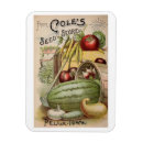 Pesquisar por catálogo imas Flores