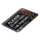 Pesquisar por pomba imas Pássaro