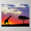 Pesquisar por mostrado pósteres África