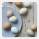 Pesquisar por nutriente adesivos Nutricionista