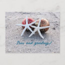 Pesquisar por starfish cartoes postais Praia arenosa