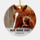 Pesquisar por cavalo ornamentos Nome