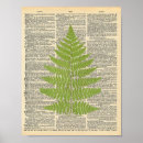 Pesquisar por vintage botanical pôsteres pósteres Qualquer pessoa