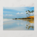 Pesquisar por palm beach cartoes Obrigados