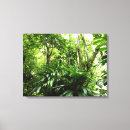 Pesquisar por plantas tropicais impressão de canvas Floresta tropical
