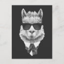 Pesquisar por peru engraçado cartoes postais Alpaca