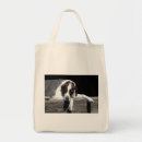 Pesquisar por canino bolsas Ponteiro