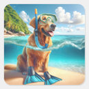 Pesquisar por snorkel adesivos Tropicais