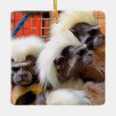 Pesquisar por macaco ornamentos Qualquer pessoa